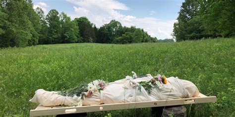 Green funerals: Eco-friendly advancements in body disposal are making ...