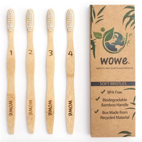 Sustainable toothbrushes for progressive dental health