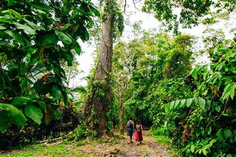 All About Hiking + Snorkeling In Costa Rica's Corcovado National Park