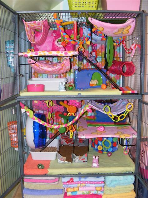 ultimate rat cages - Google Search | Rat cage ideas, Pet rats, Rat cage ...