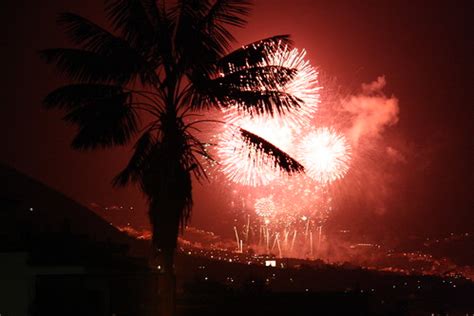 Palm Tree | Epic Fireworks Blog