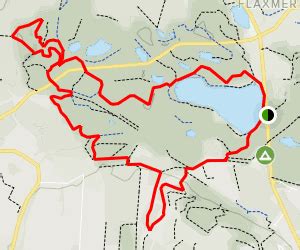 Delamere Forest and Blackmere Circular - Cheshire, England | AllTrails