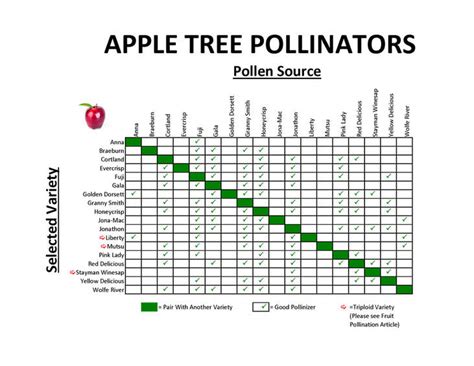 Pollination Chart Apple Tree, Fruit Bearing Trees,, 44% OFF