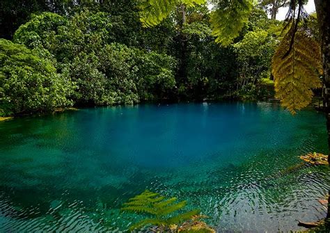 Mommom's Blog: The Blue Hole in Santo island, Vanuatu