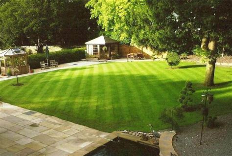 Creating a New Lawn: Seeding vs Turfing | TurfOnline