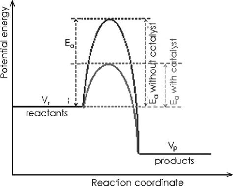 Potential energy diagram with/without catalyst in a hypothetical ...