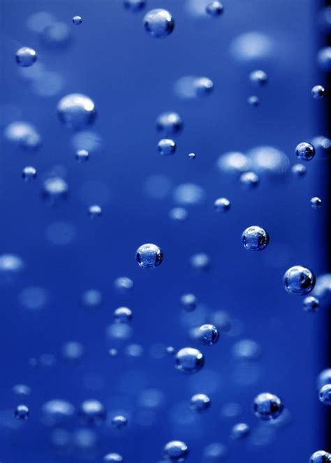 Bubbles Clip Art · Free Stock Photo