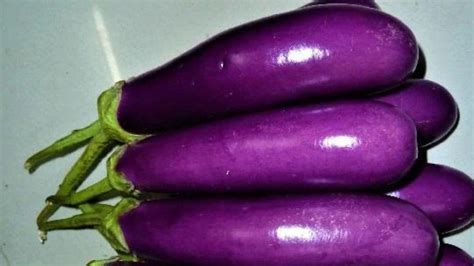 Brinjal health benefits: പച്ചക്കറിയിലെ വഴുതനങ്ങ വെറുതെ കളയല്ലേ ...