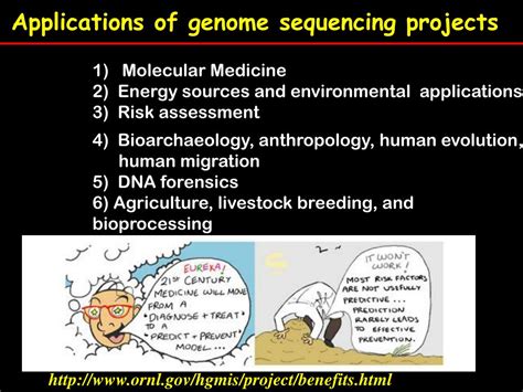 PPT - Applications of genome sequencing projects PowerPoint Presentation - ID:6067972