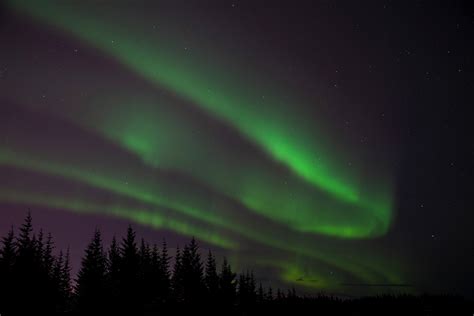 Northern Lights Photography Tips... | Nicola Dunkinson