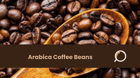 Arabica Coffee Beans - What Are They, Where From, Benefits - Everything About Coffee - Kitchen ...