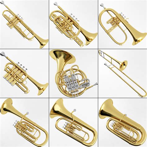 Brass Musical Instrument Collection Brass Musical Instrument Collection [Brass Musical ...