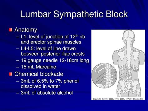 PPT - Lumbar Sympathectomy: Indications & Techniques Chapter 85 PowerPoint Presentation - ID:261637