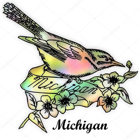 Images: michigan state bird | Michigan State bird — Stock Photo ...