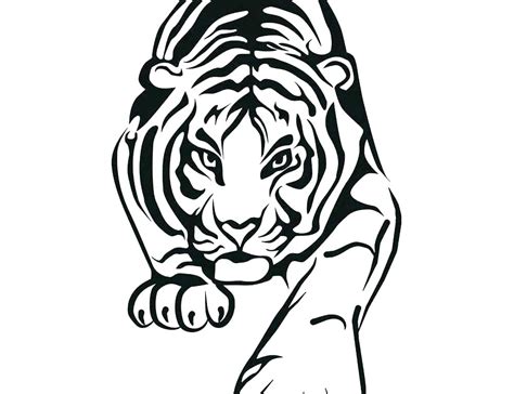 Tiger Drawing For Kids | Free download on ClipArtMag