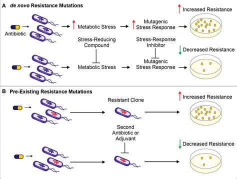 Frontiers | Resistance-resistant antibacterial treatment strategies