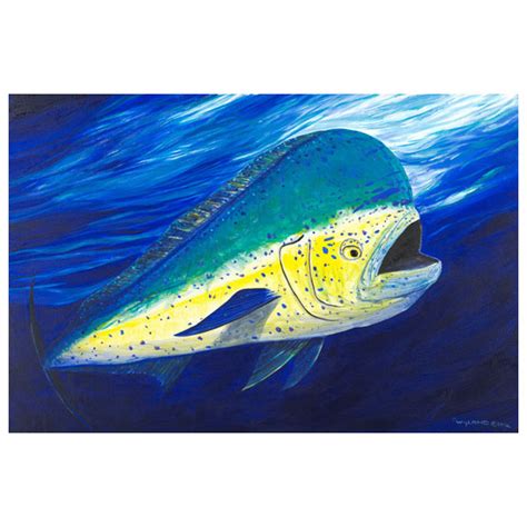 Blue Water Mahi Mahi – Wyland Worldwide