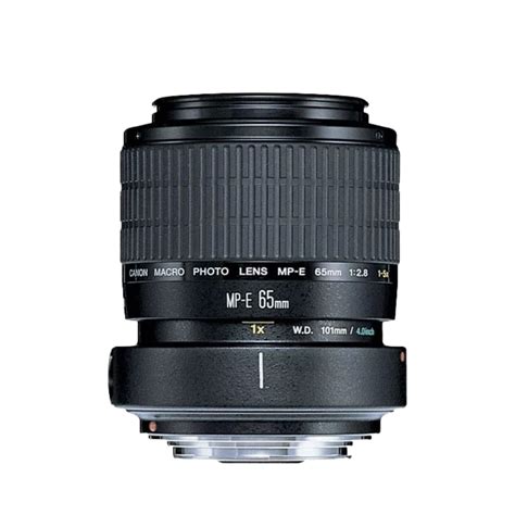 Top 6 Macro Lenses for Macro Photography