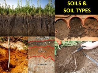 PPT - SOILS & SOIL TYPES PowerPoint Presentation, free download - ID:3032429