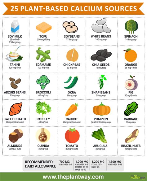 25 Vegan Sources of Calcium (Infographic)