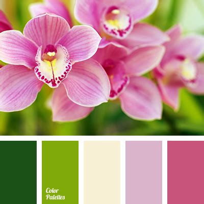 Color Palette #1429 | Color Palette Ideas