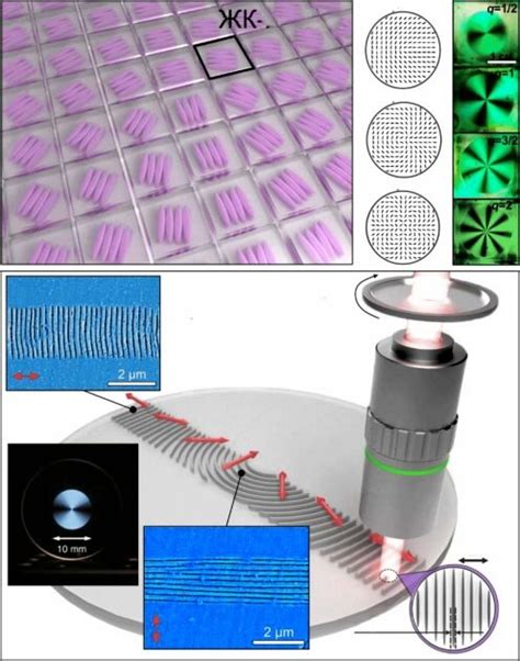 (Color online.) (a) Schematic representation of a piece of a q-plate ...