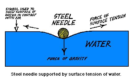 Surface Tension Of Water Diagram