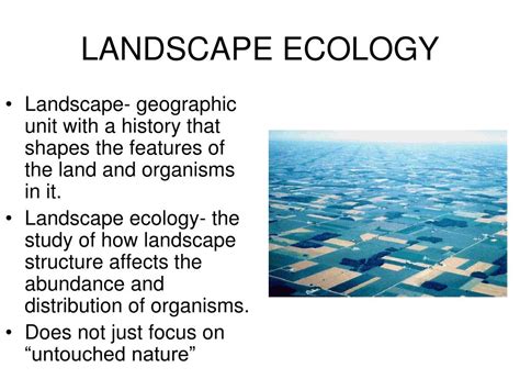 PPT - AQUATIC ECOSYSTEMS LANDSCAPE ECOLOGY RESTORATION ECOLOGY ECOSYSTEM MANAGEMENT PowerPoint ...