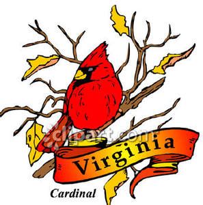 State Bird of Virginia | Clipart Panda - Free Clipart Images