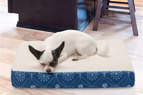 Small Dog Beds | The Best Small Dog Beds for Your Pint-Sized Pal