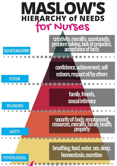 Maslow Hierarchy Of Need For Nurse Poster Maslow S Hierarchy Of Needs | Porn Sex Picture