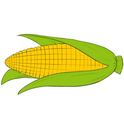 How to Draw a Corn Cob - Easy Drawing Art