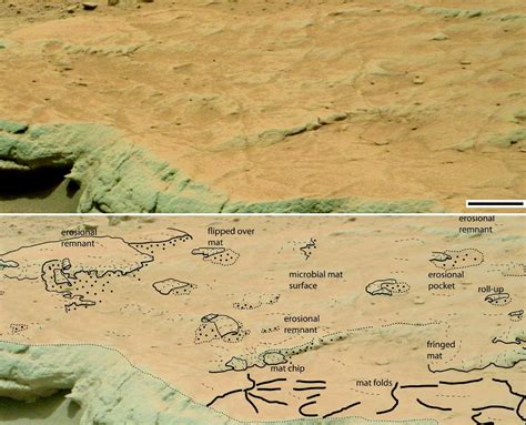 Curiosity Finds Possible Signs of Ancient Microbial Life on Mars | Sci.News