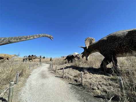 What to expect at Field Station: Dinosaurs - The dinosaur adventure park in Derby, KS | Wichita ...