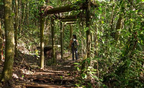 The Forgotten Bukit Batok Hillside Nature Park — Hiking to Hidden 'Torii Gates' in Singapore