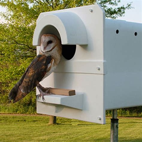 Plastic Barn Owl Boxes Versus Wooden: A Clear Choice | Barn Owl Box Company