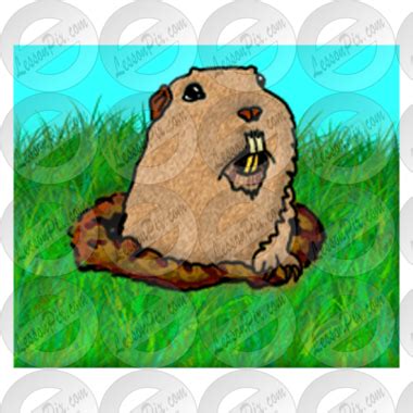 Gopher Picture for Classroom / Therapy Use - Great Gopher Clipart