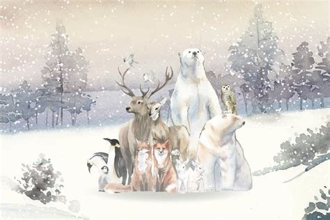 Gruppe wilde Tiere im Schnee gezeichnet in Aquarell - Download Kostenlos Vector, Clipart ...
