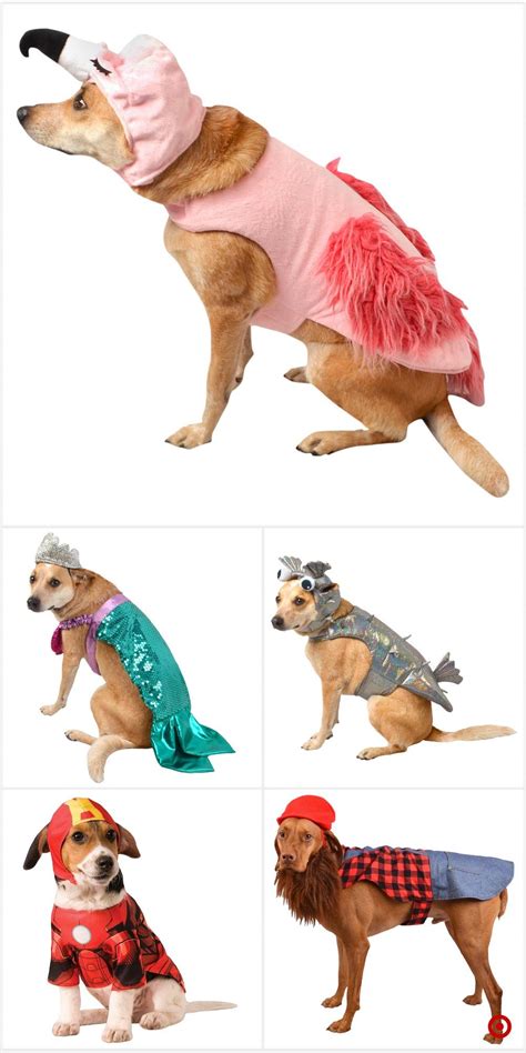 Shop Target for pet costume sets you will love at great low prices. Free shipping on orders of ...