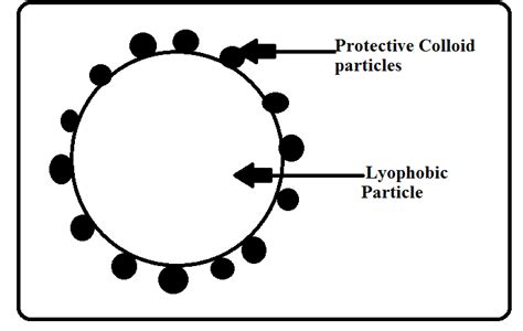 out of lyophilic and lyophobic sols which one can be easily converted into a gel and why