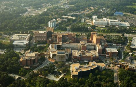 University of Florida campus | Gainesville florida, University of florida, College town