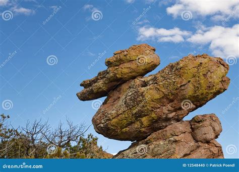 Duck on a Rock at Chiricahua National Monument USA Stock Photo - Image ...