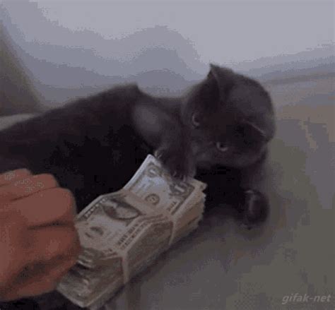 Thats My Money Dont Touch My Money GIF - ThatsMyMoney DontTouchMyMoney BlackCat - Discover ...