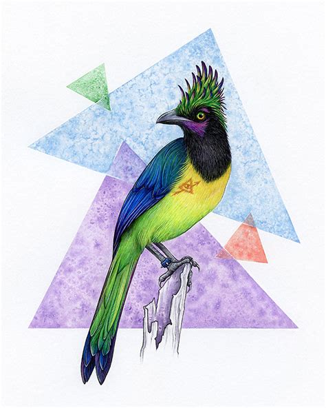 Jay Birds on Behance