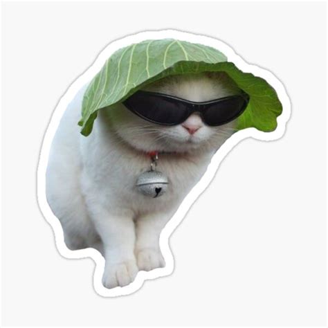 "cabbage cat" Sticker for Sale by cosmo-tommo | Redbubble