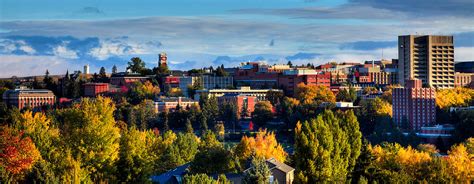 Washington State University In Autumn Photograph by David Patterson