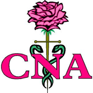 Certified Nursing Assistant Pink Rose - Decal at Sticker Shoppe