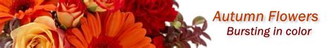 Janousek Florist - Fall Flower Arrangements Omaha | Unique Flower Arrangements NE | Florist 68132