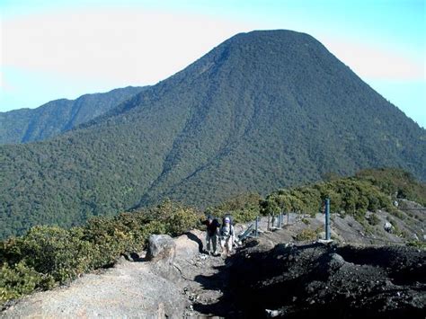 Gunung Gede - Pangrango (2,958 m - 3,019 m)