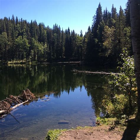 Fishing Champion Lakes Alberta